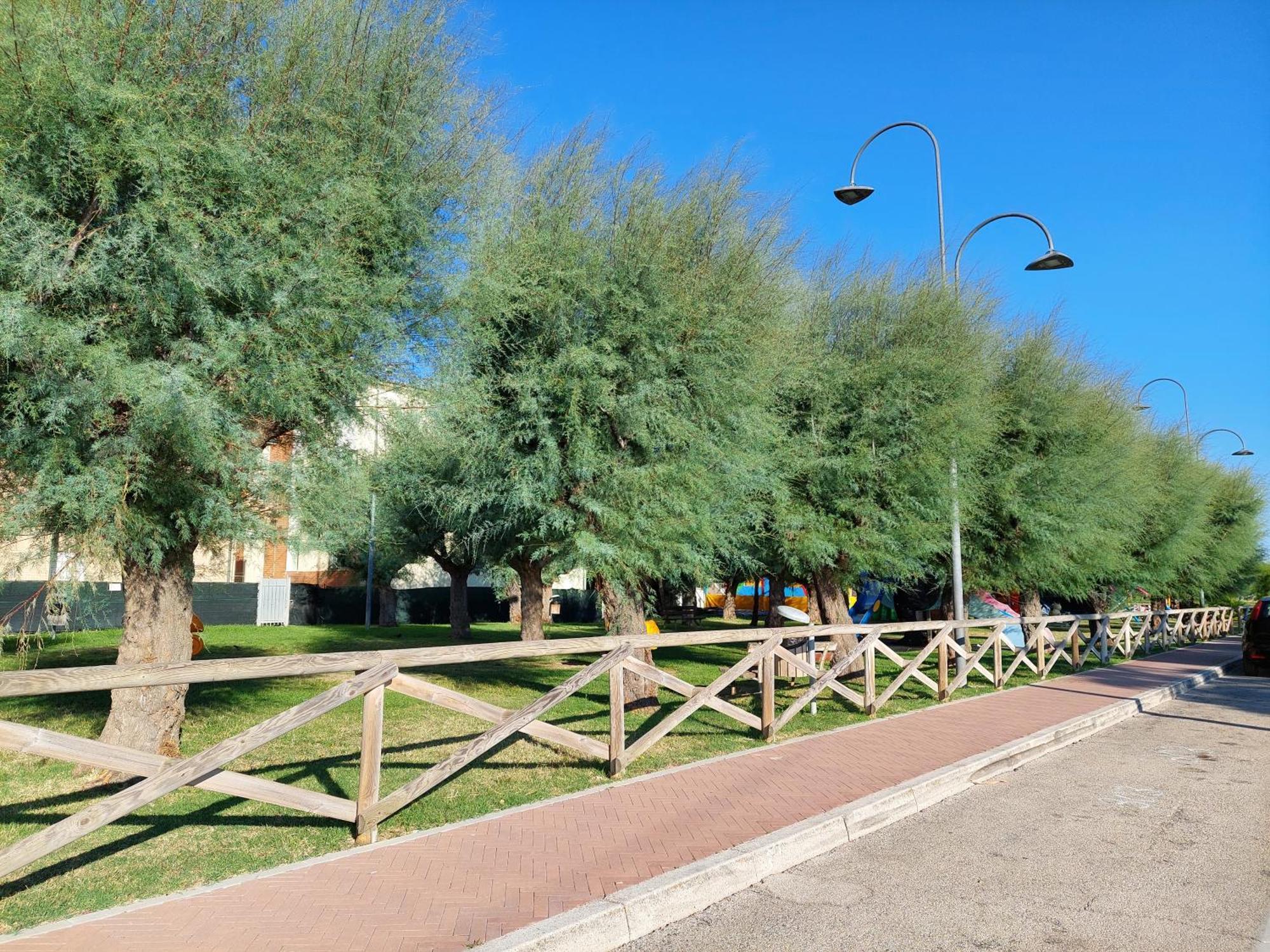 La Conchiglia Apartment Porto Sant'Elpidio Exterior photo
